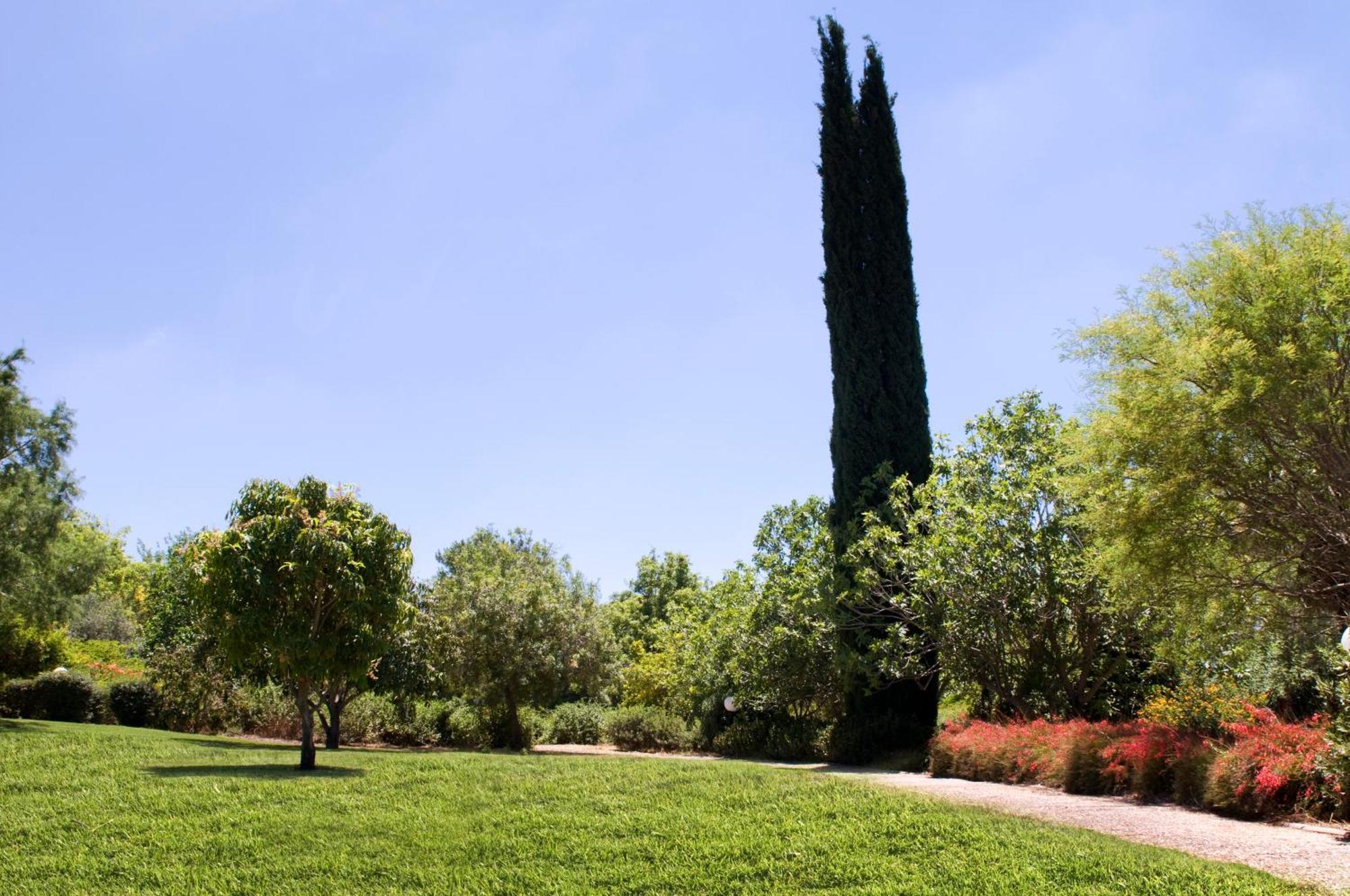 Nes Ammim Hotel Εξωτερικό φωτογραφία
